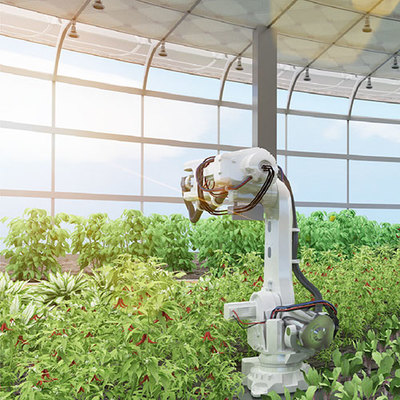 艾綠集團 引領花卉產業創新與綠色發展的領軍者